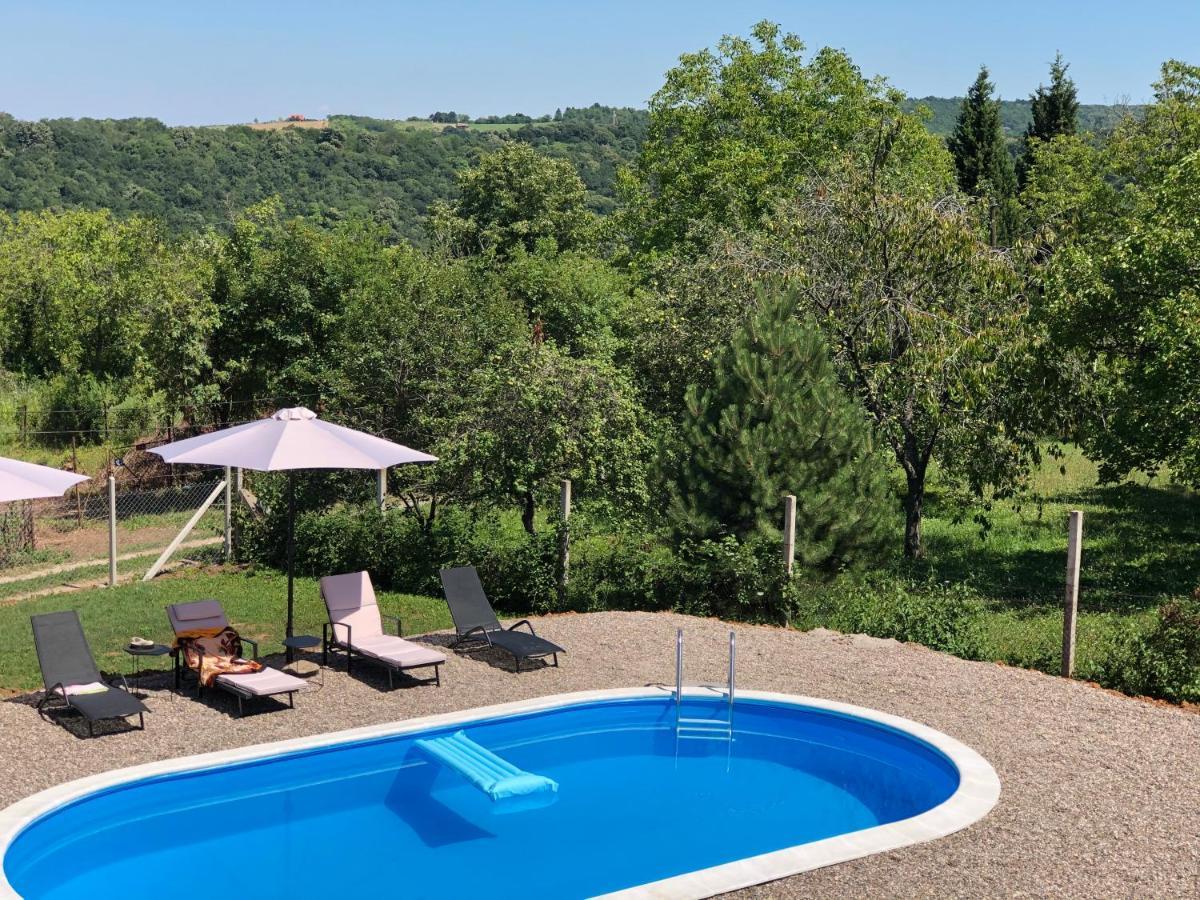 Villa Fruska Pool House Sremska Kamenica Exterior foto
