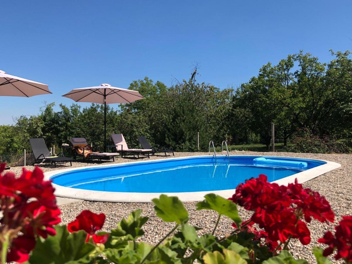 Villa Fruska Pool House Sremska Kamenica Exterior foto