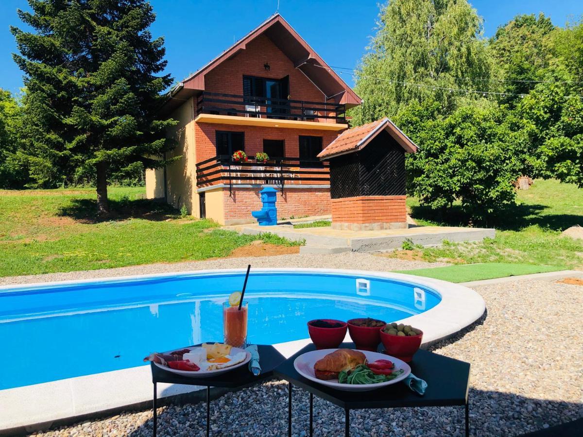 Villa Fruska Pool House Sremska Kamenica Exterior foto