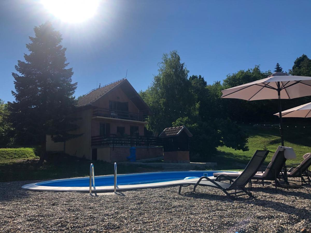 Villa Fruska Pool House Sremska Kamenica Exterior foto