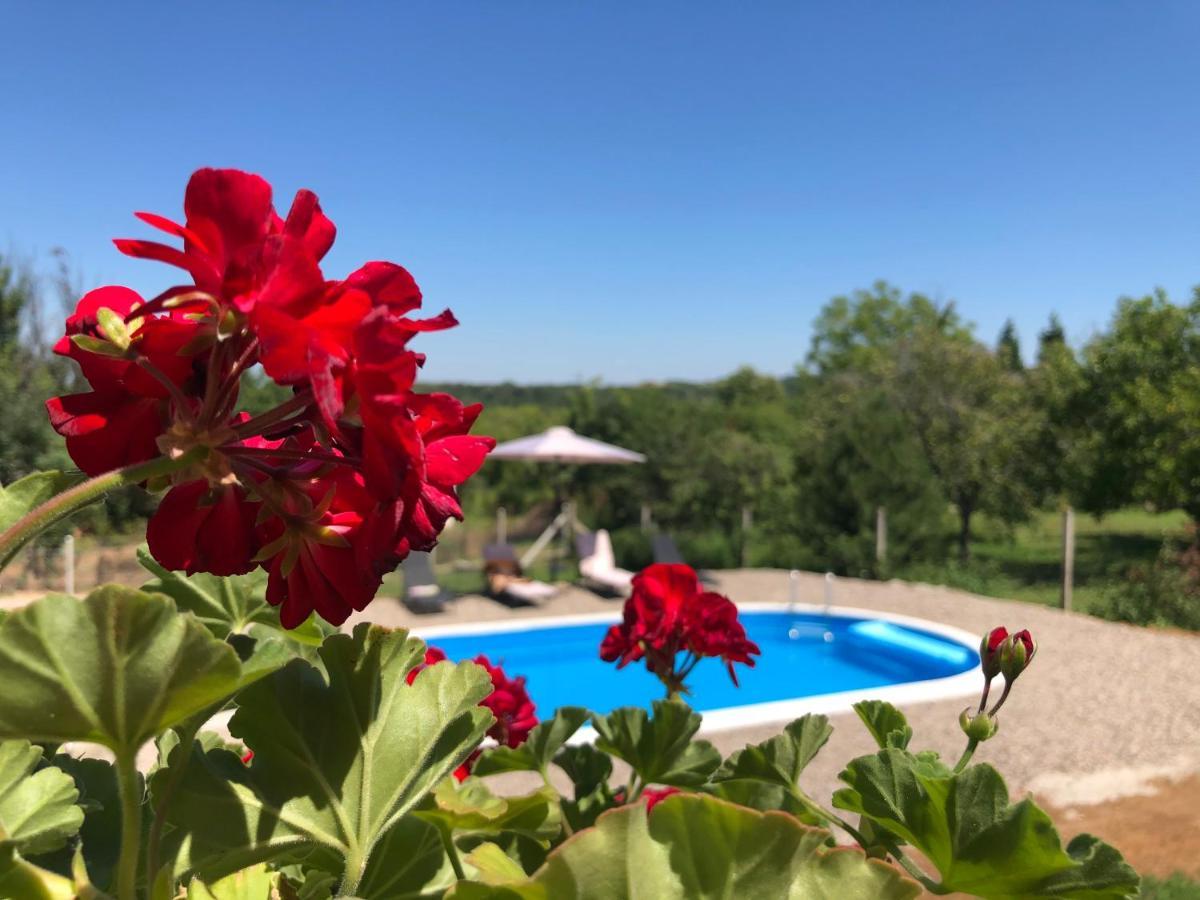 Villa Fruska Pool House Sremska Kamenica Exterior foto