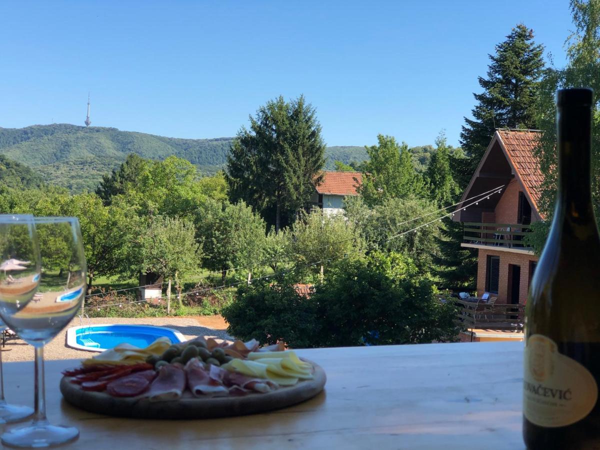 Villa Fruska Pool House Sremska Kamenica Exterior foto