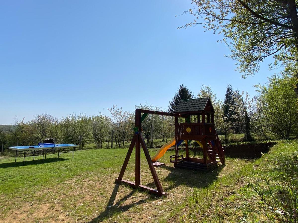 Villa Fruska Pool House Sremska Kamenica Exterior foto