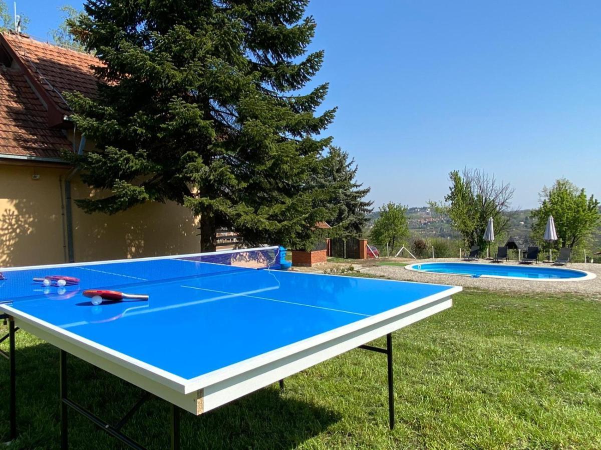 Villa Fruska Pool House Sremska Kamenica Exterior foto