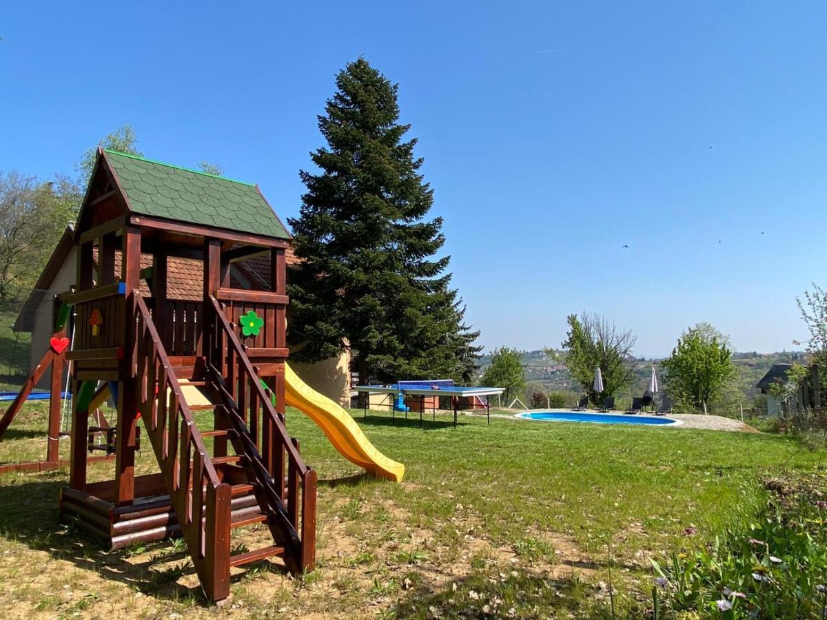 Villa Fruska Pool House Sremska Kamenica Exterior foto