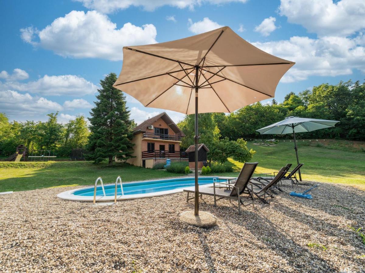 Villa Fruska Pool House Sremska Kamenica Exterior foto
