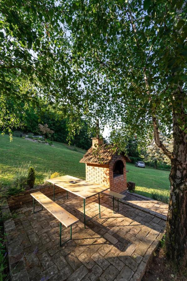 Villa Fruska Pool House Sremska Kamenica Exterior foto