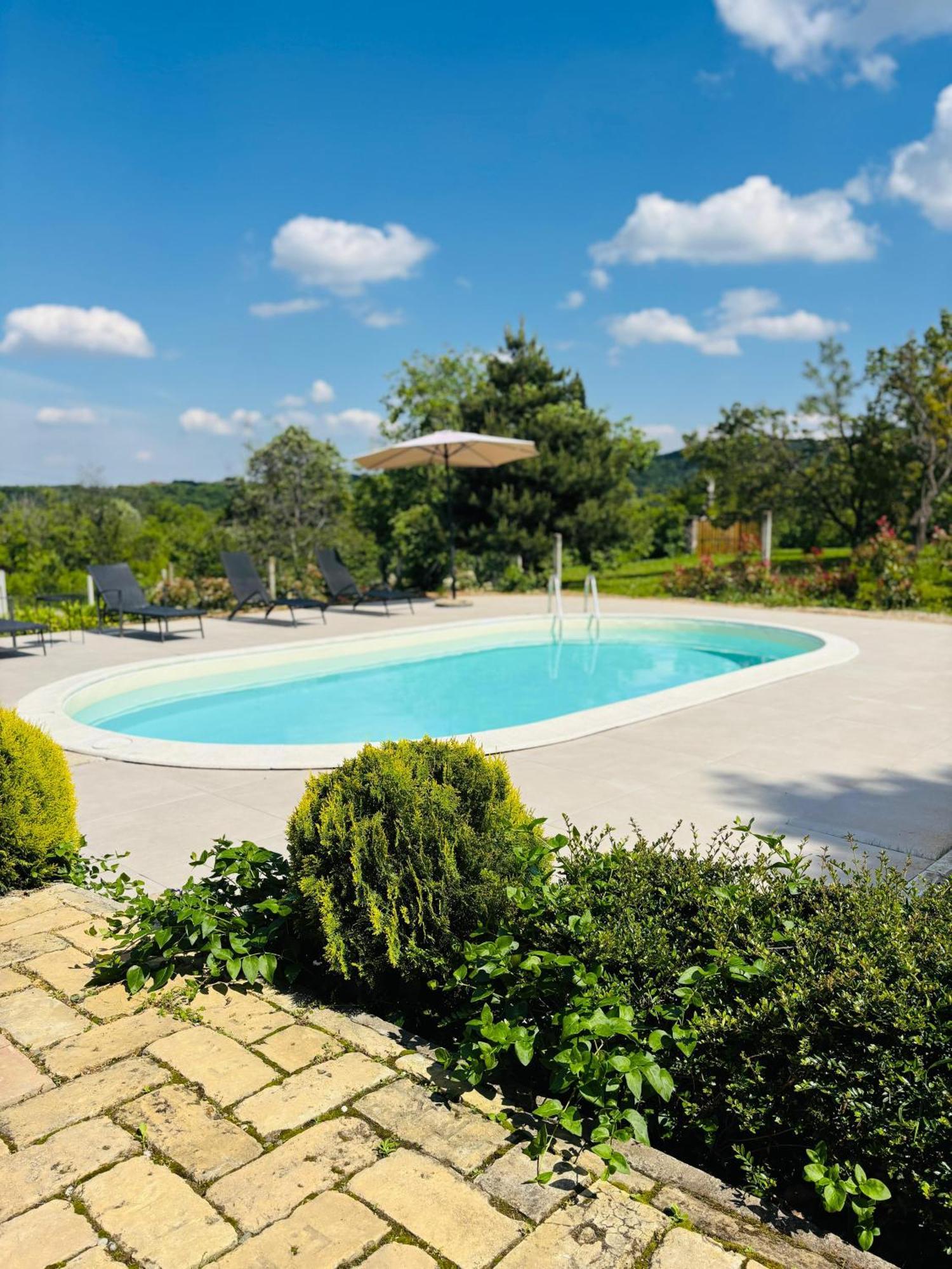 Villa Fruska Pool House Sremska Kamenica Exterior foto