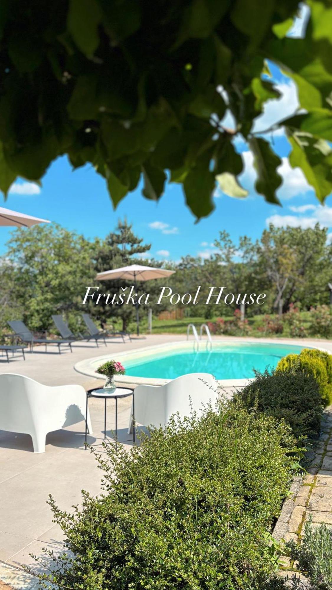 Villa Fruska Pool House Sremska Kamenica Exterior foto
