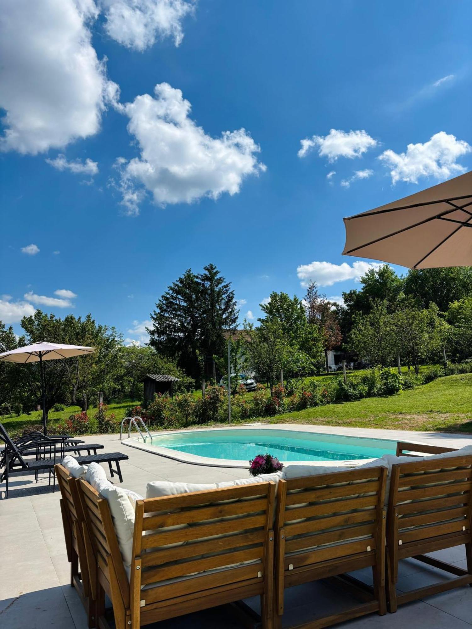 Villa Fruska Pool House Sremska Kamenica Exterior foto