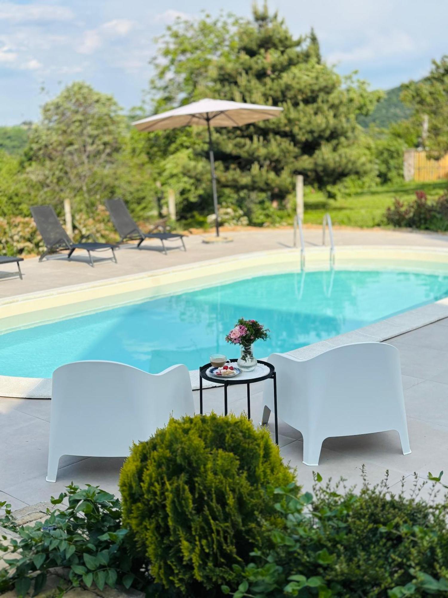 Villa Fruska Pool House Sremska Kamenica Exterior foto
