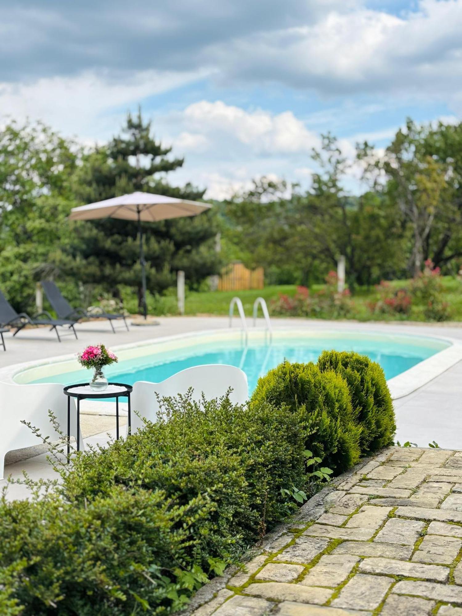 Villa Fruska Pool House Sremska Kamenica Exterior foto
